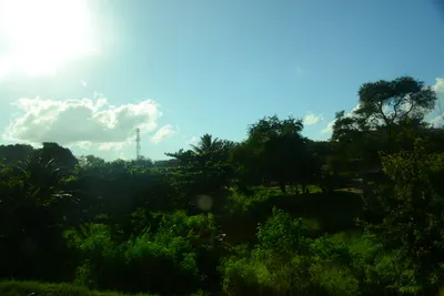 DSC_7706 (Large).JPG